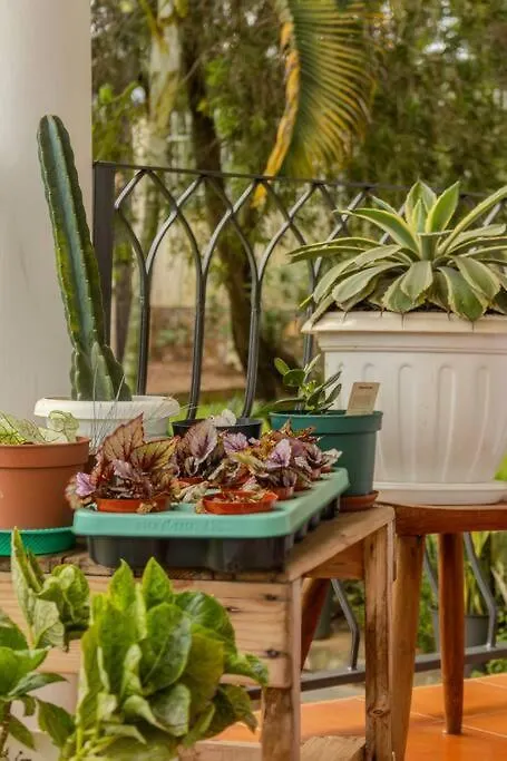 The Greenleaf Luxury Bnb -Lubowa كامبالا أوغندا