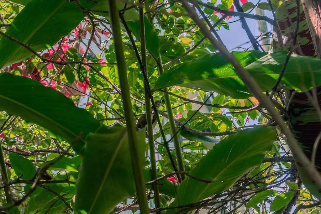 The Greenleaf Luxury Bnb -Lubowa كامبالا بيت للعطل